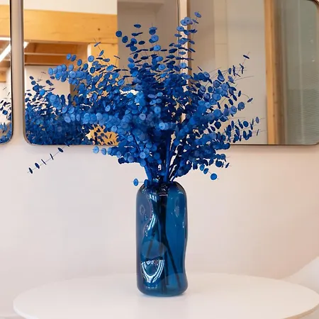 Sao Domingos Stylish Daire *